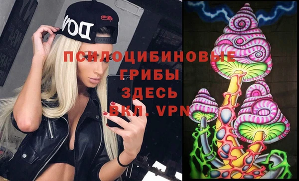 дмт Ельня