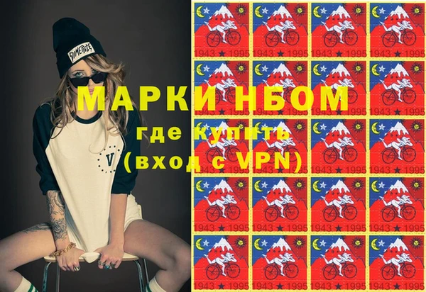 дмт Ельня