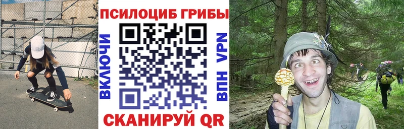блэк спрут сайт наркошоп Калининск Псилоцибиновые грибы прущие грибы